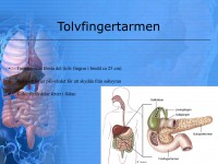 /album/matspjalkningssystemet/a6-matspja%cc%88lkningssystemet-014-jpeg/